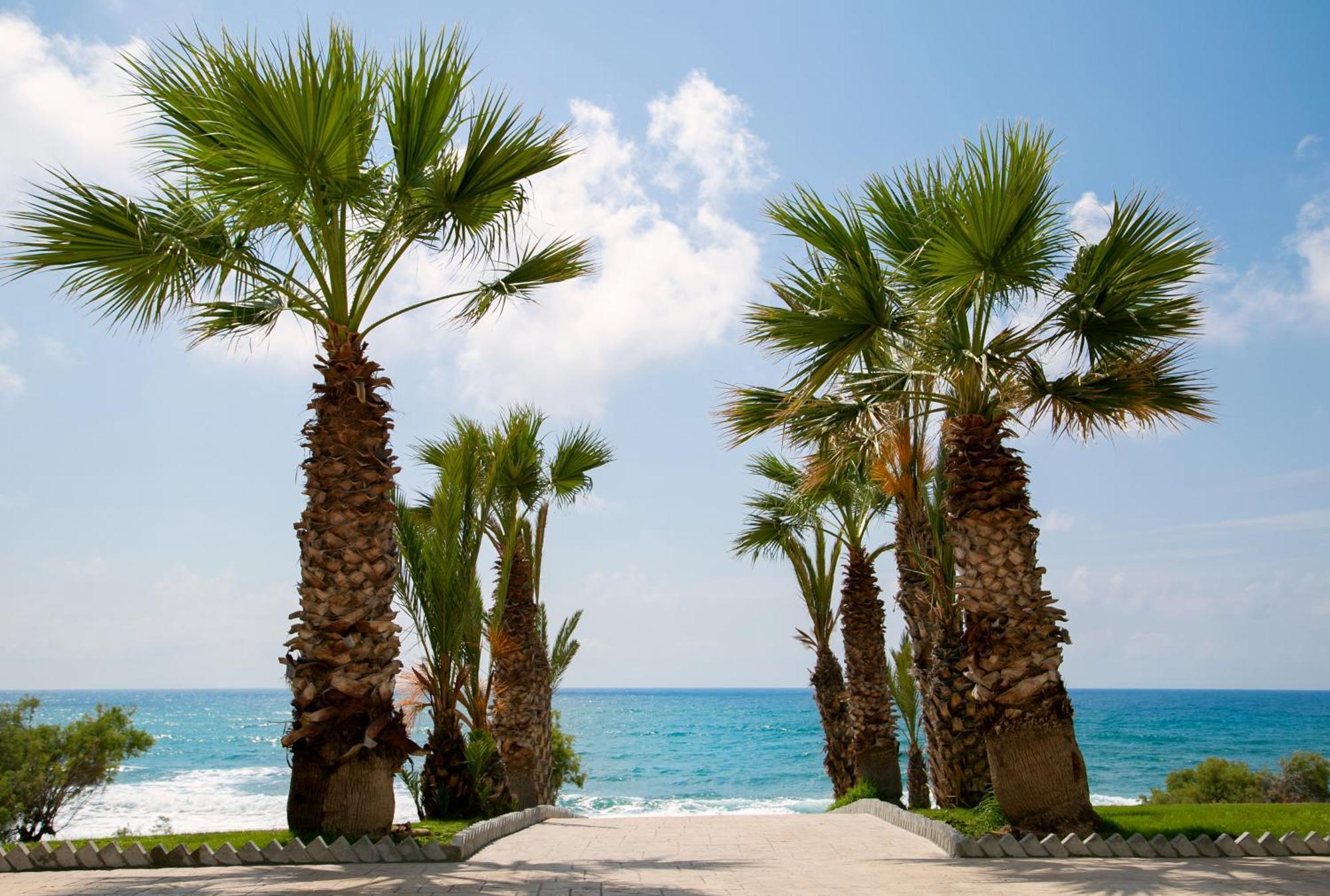 Hotel Louis Paphos Breeze Klorakas Exteriér fotografie